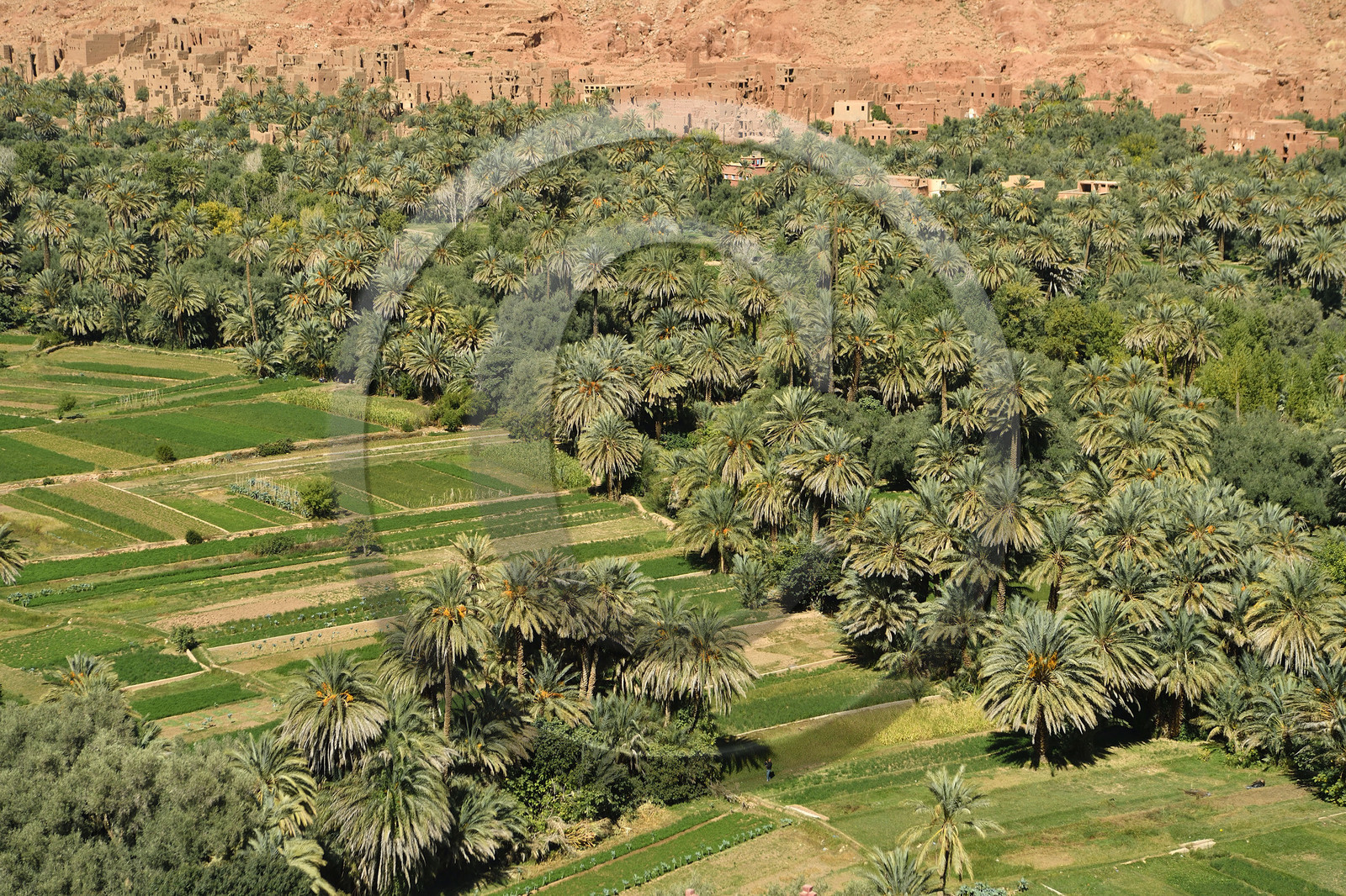 Maroc, Tineghir