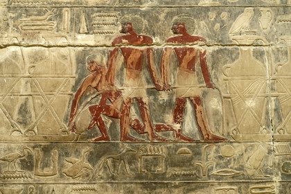 Egypte, Saqqara