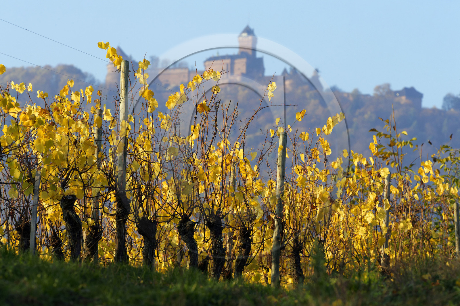 France, Koenigsbourg