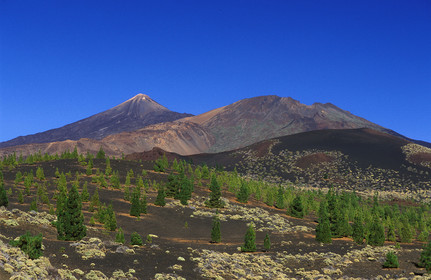 Canaries. Espagne
