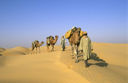 Erg Oriental, Tunise