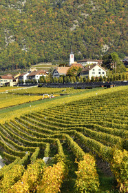Suisse, Yvorne