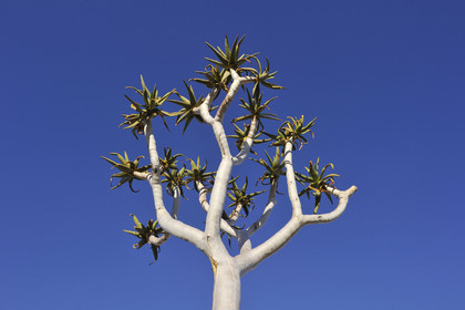 Namibie, Fish River Canyon