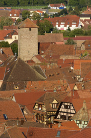 France, Dambach
