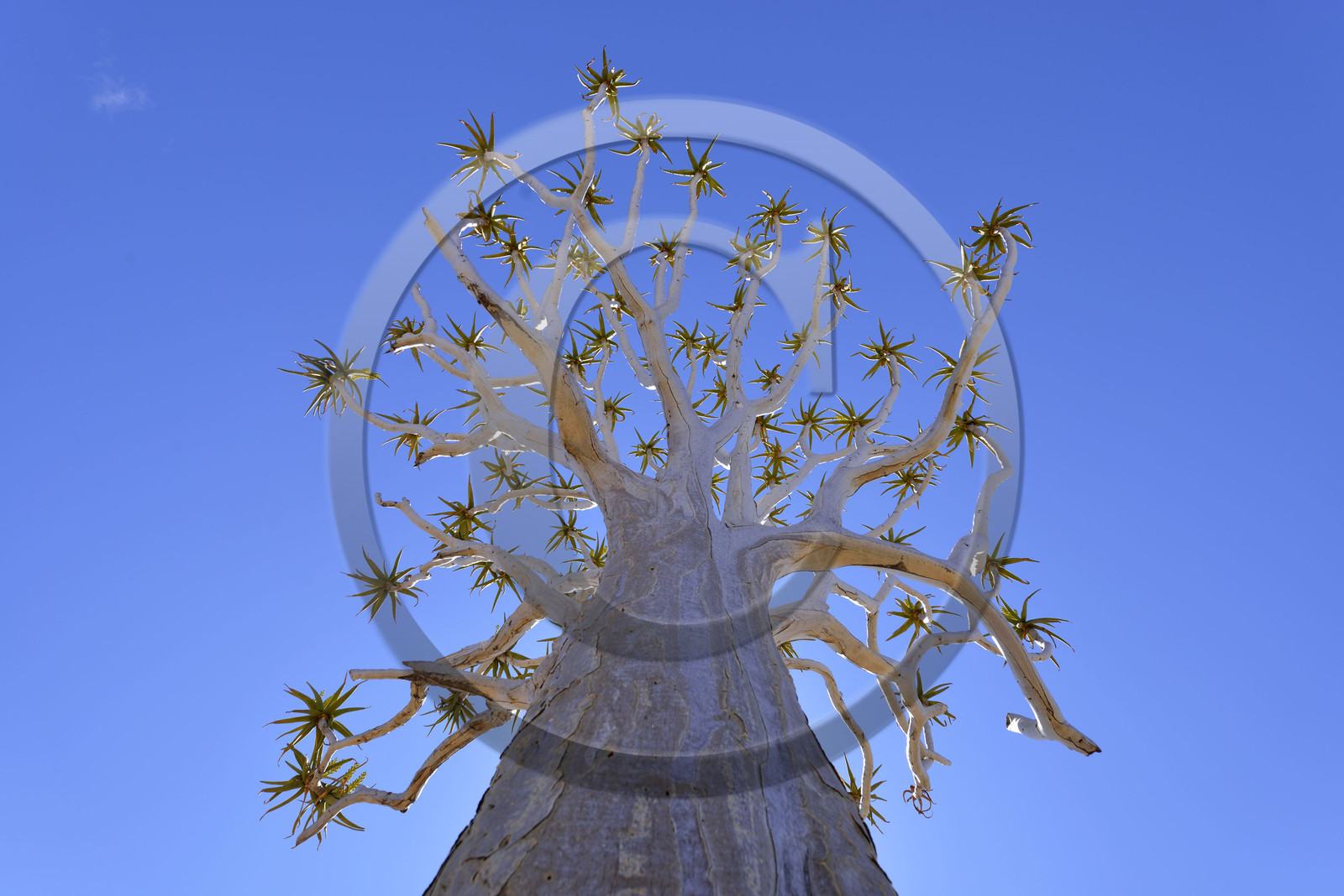 Namibie, Fish River Canyon