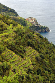 Italie, Cinque Terre