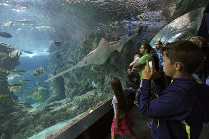 France, Oceanopolis
