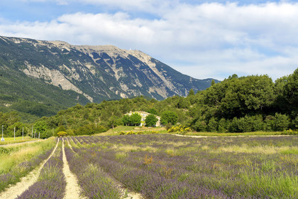 France, Mont Ventoux