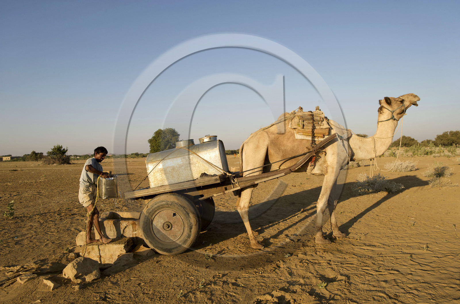 Inde, Jaisalmer
