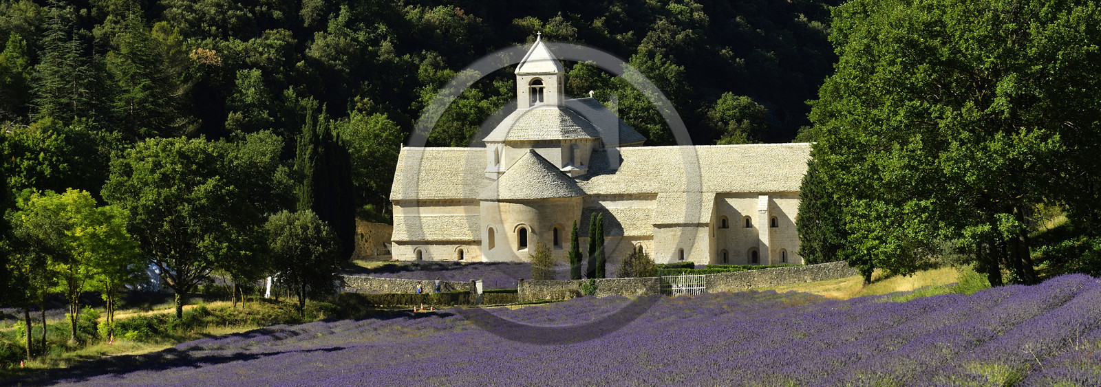 France, Senanque