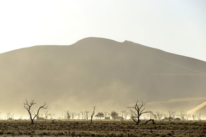 Namibie, Sossusvlei