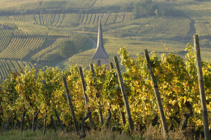 France, Alsace