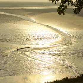 France, Baie de Somme