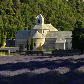 France, Senanque