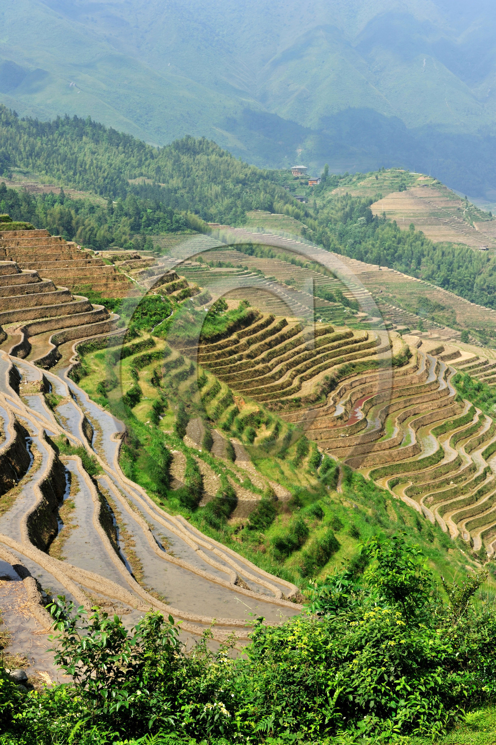 Chine, Longsheng