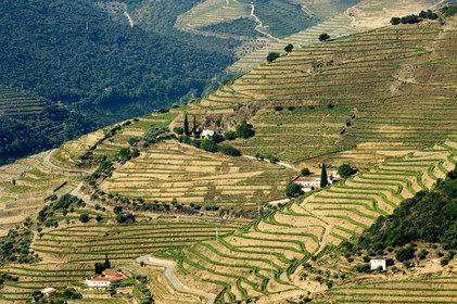 Douro, Portugal
