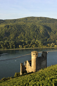 Allemangne, Rhin