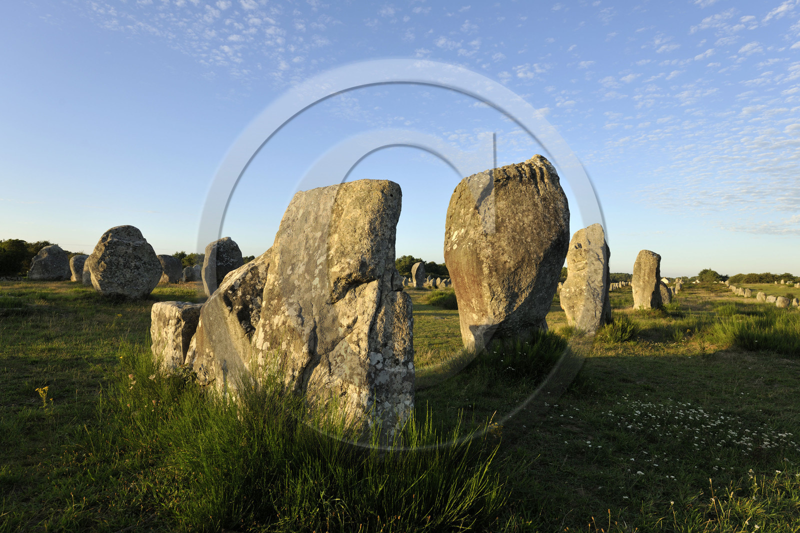 France, Carnac
