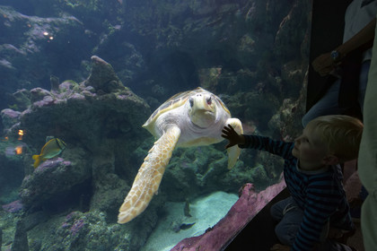 France, Oceanopolis