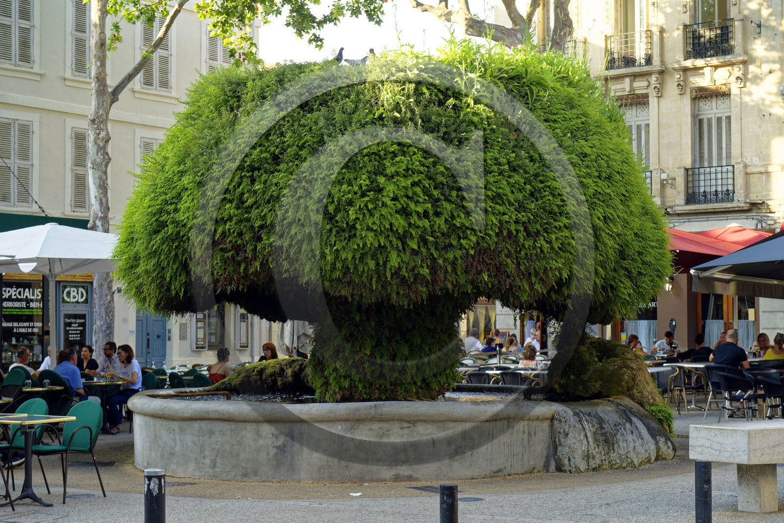 France, Salon de Provence