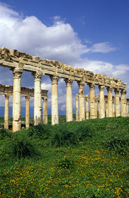 Syrie, Apamée