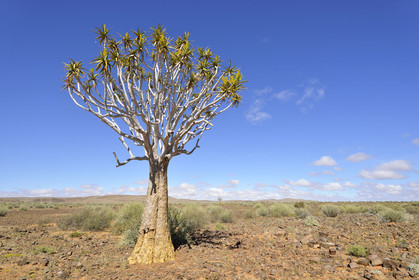 Namibie, Fish River Canyon