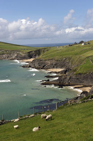 Irlande, Dingle