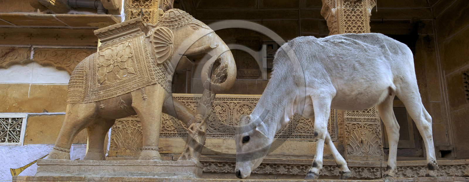 Inde, Jaisalmer