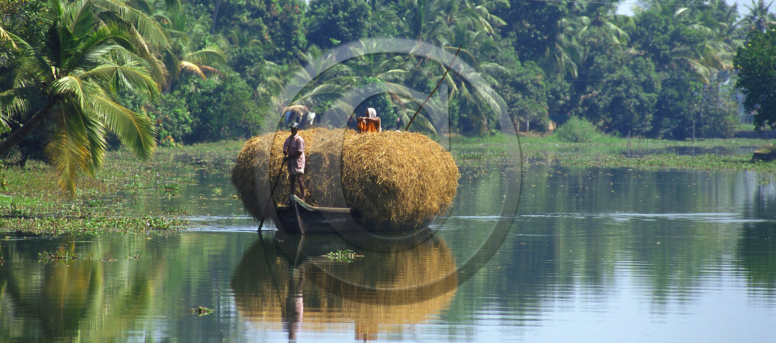 Inde du Sud