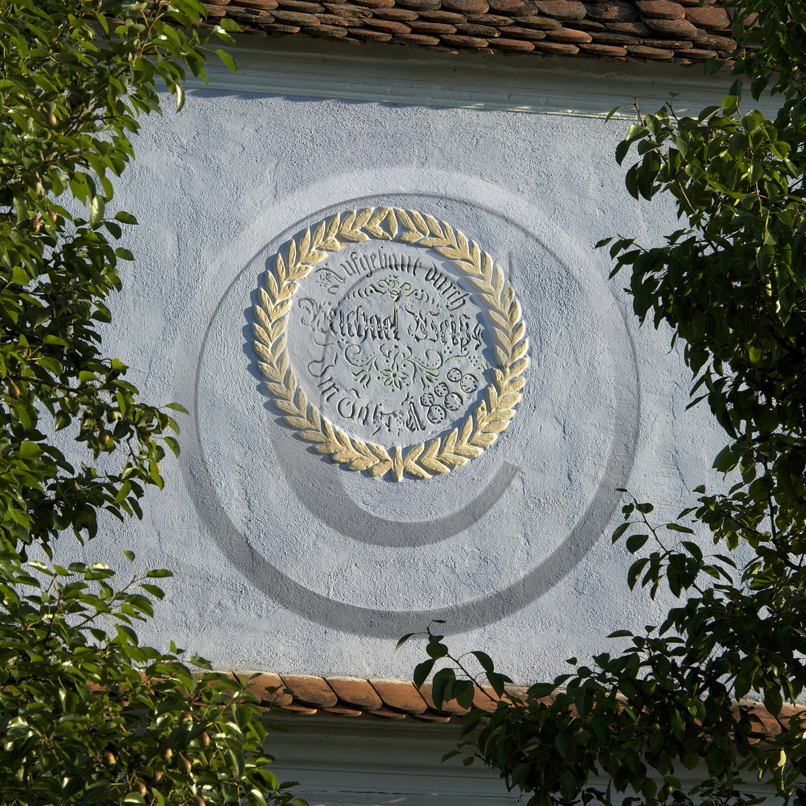 Roumanie, Viscri