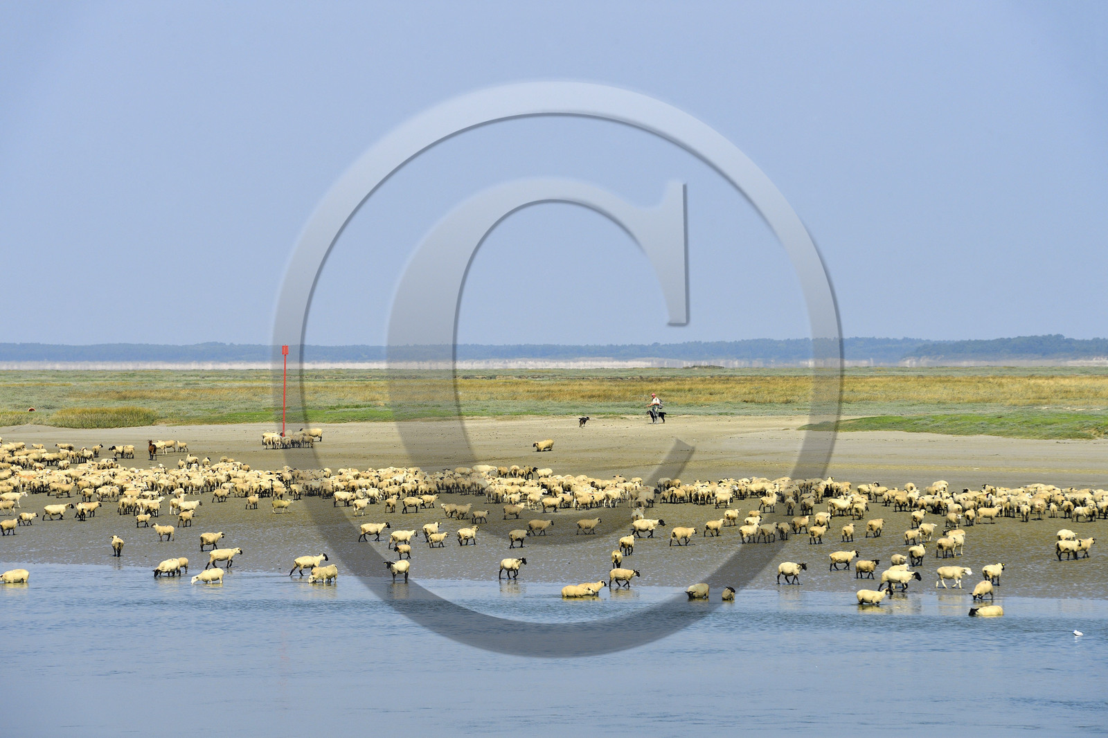 France, Baie de Somme