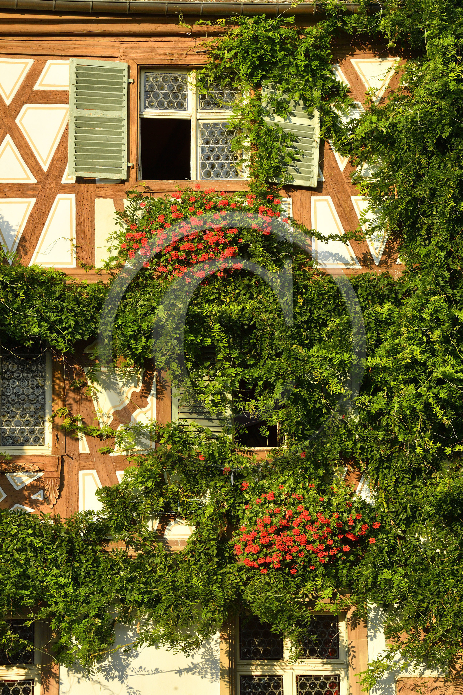 France, Turckheim