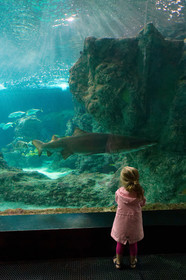 France, Oceanopolis