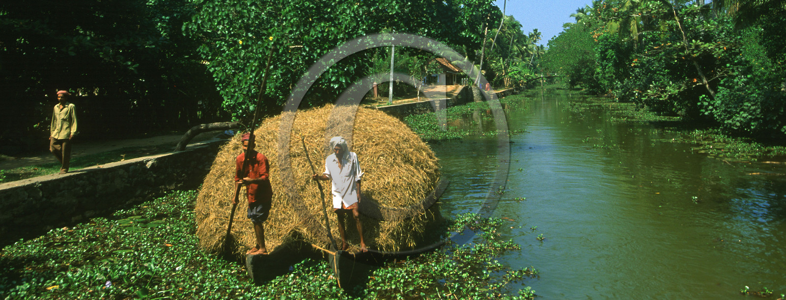 Inde du Sud