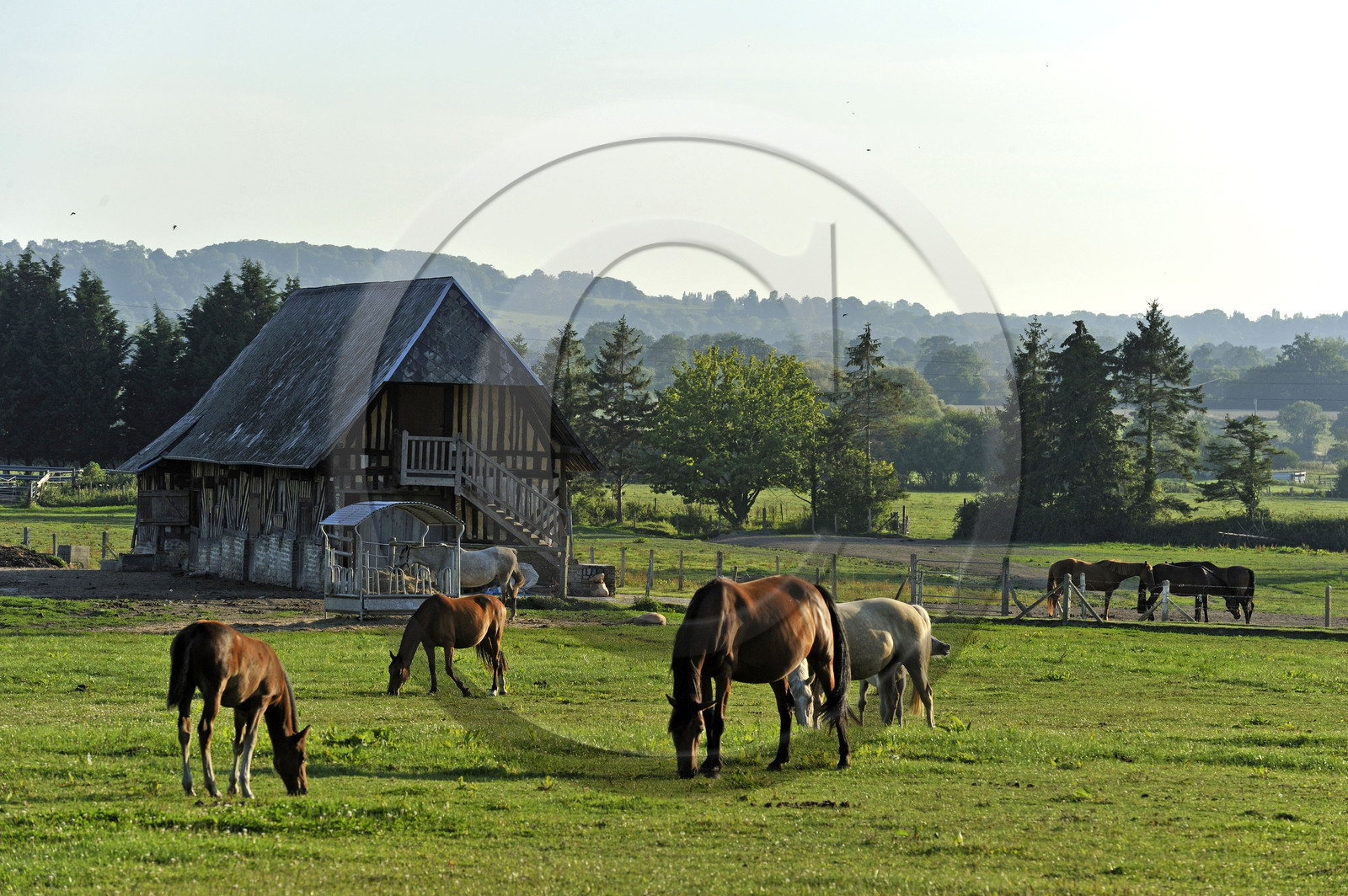 France, Pont Leveque