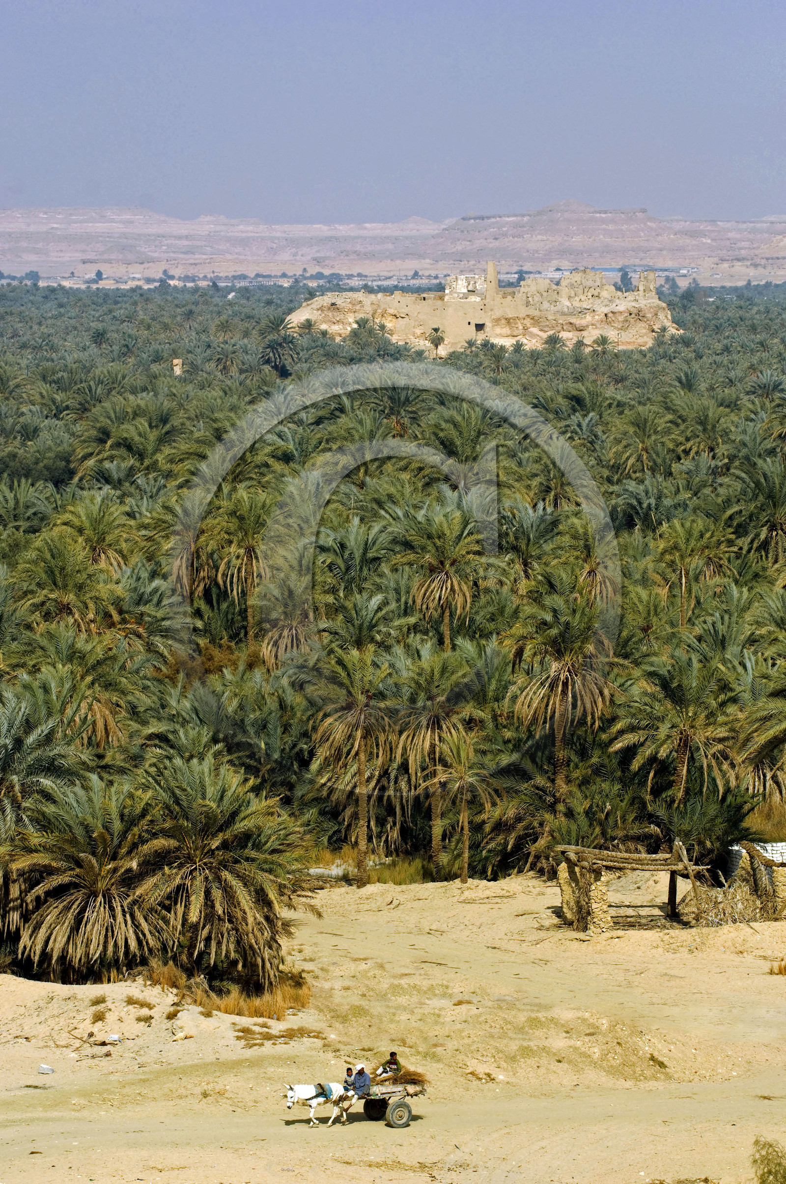 Egypte, Siwa