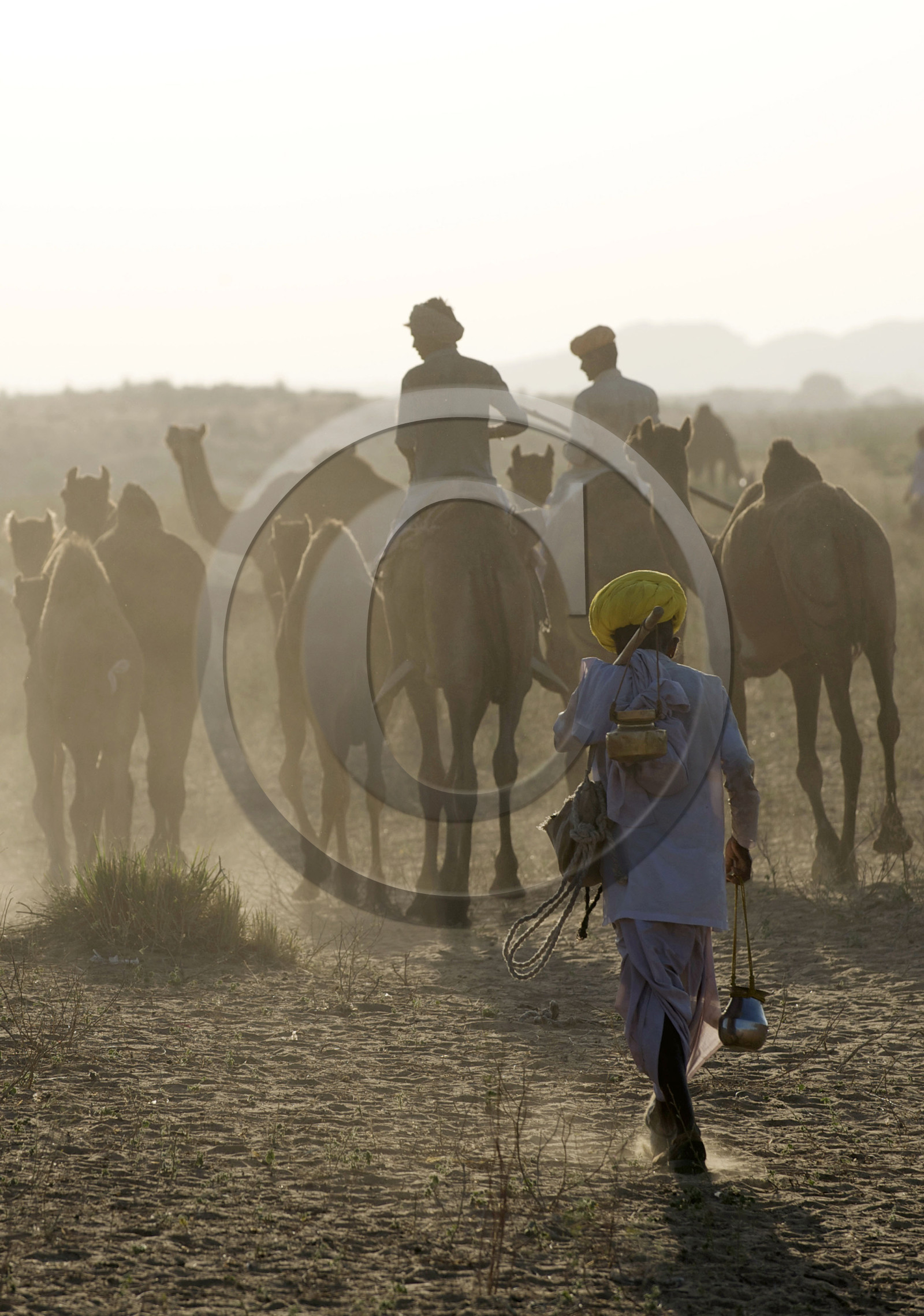 Inde, Pushkar