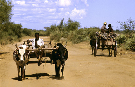 Madagascar