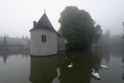 France, Lorraine