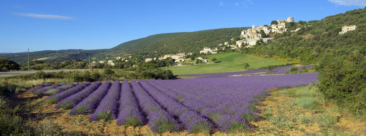 France, Simiane la Rotonde