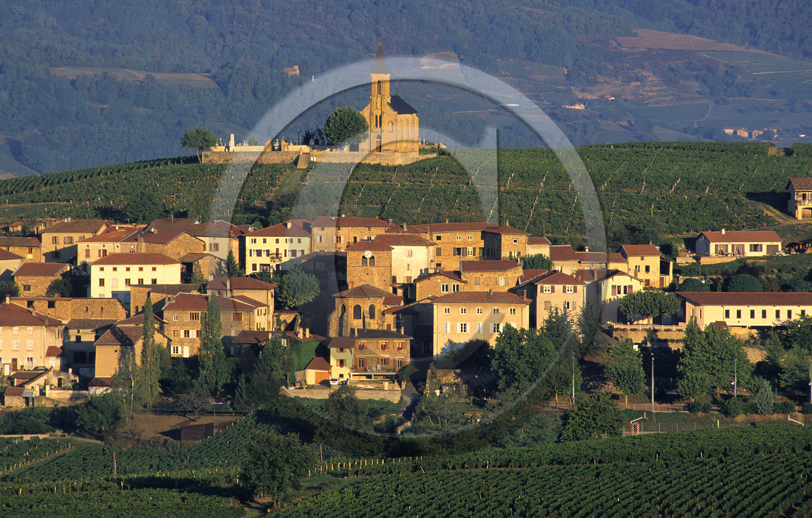 Le Beaujolais, France