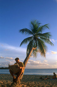 Plage des Salines. Martinique. Antilles Françaises