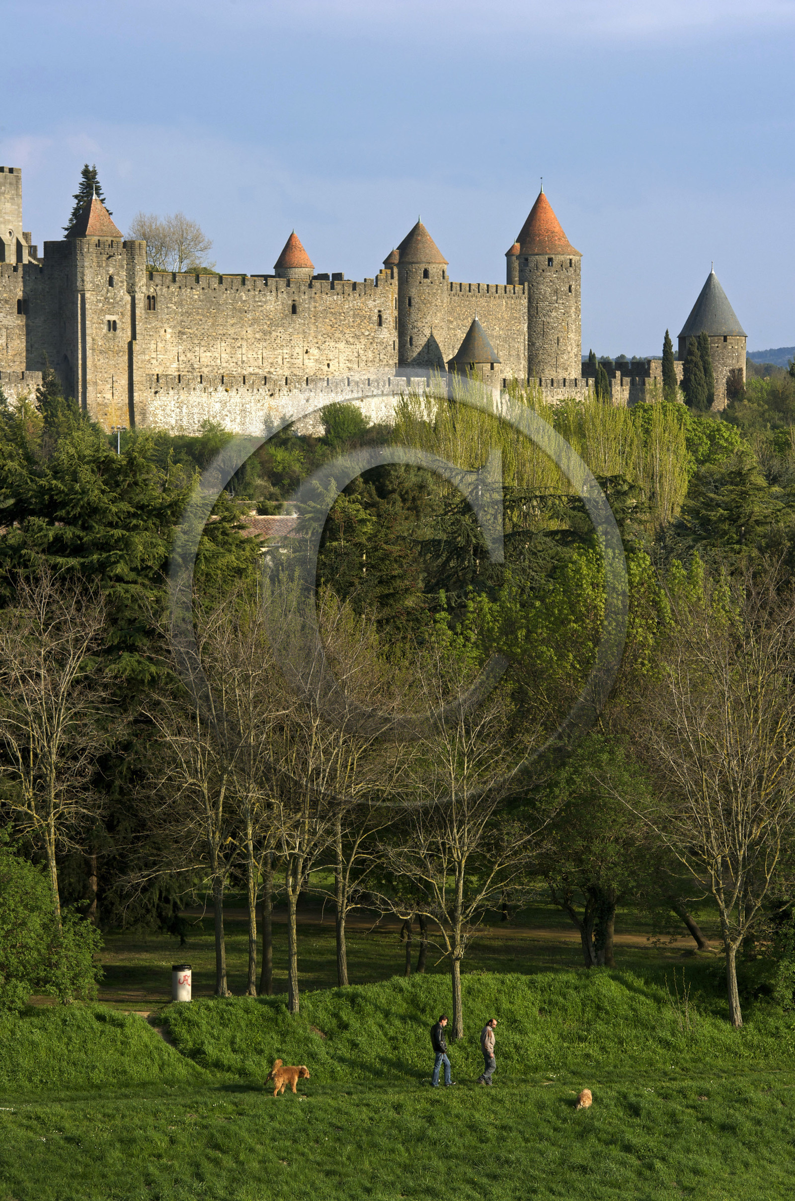 France, Carcassonne