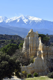 France, Ille sur Tet