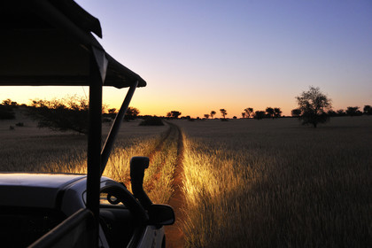 Namibie, Kalahari