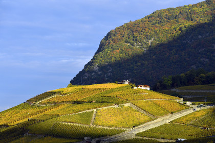 Suisse, Aigle