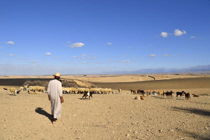 Maroc, Agafay