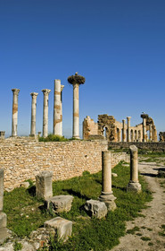 Volubilis, Maroc