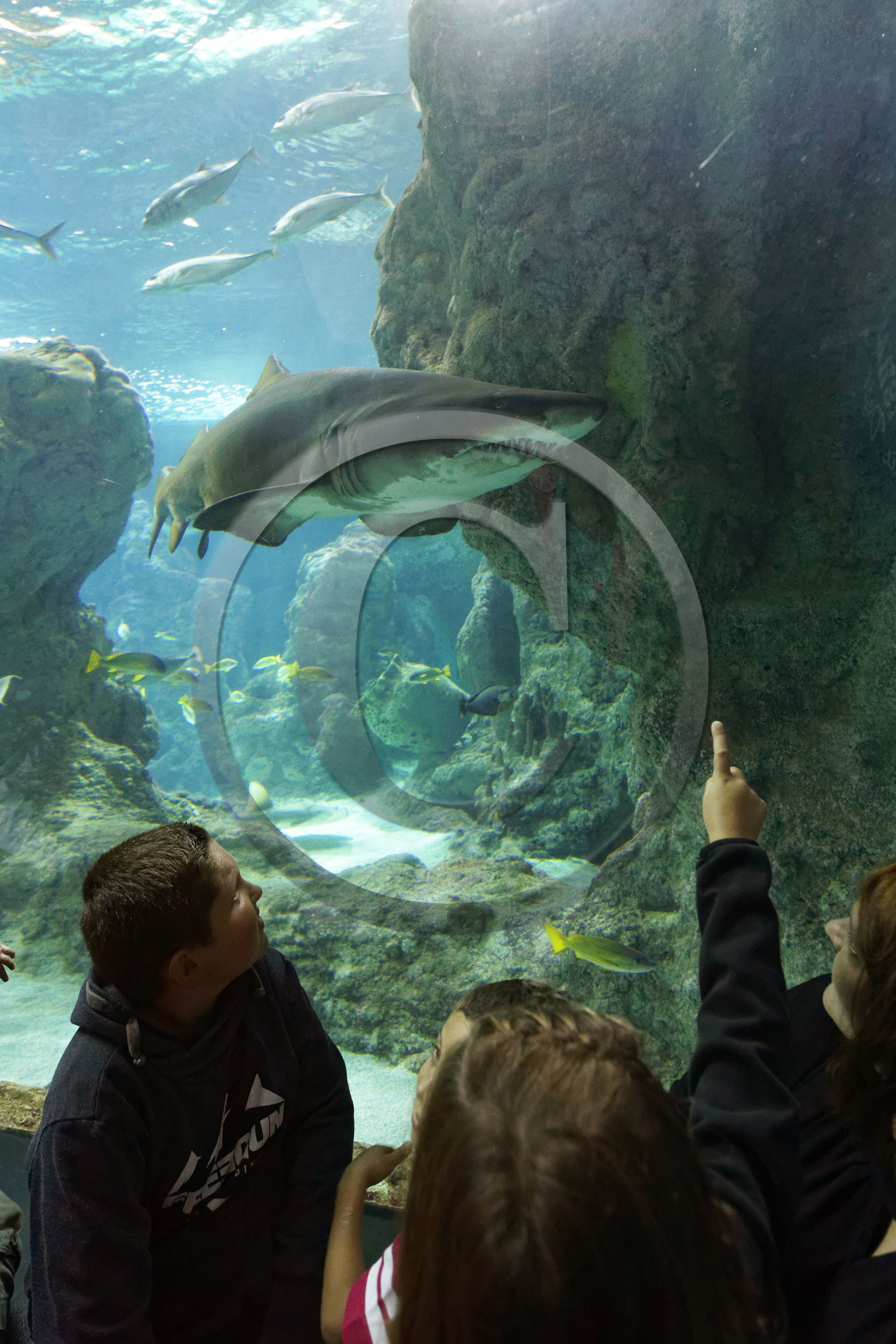 France, Oceanopolis