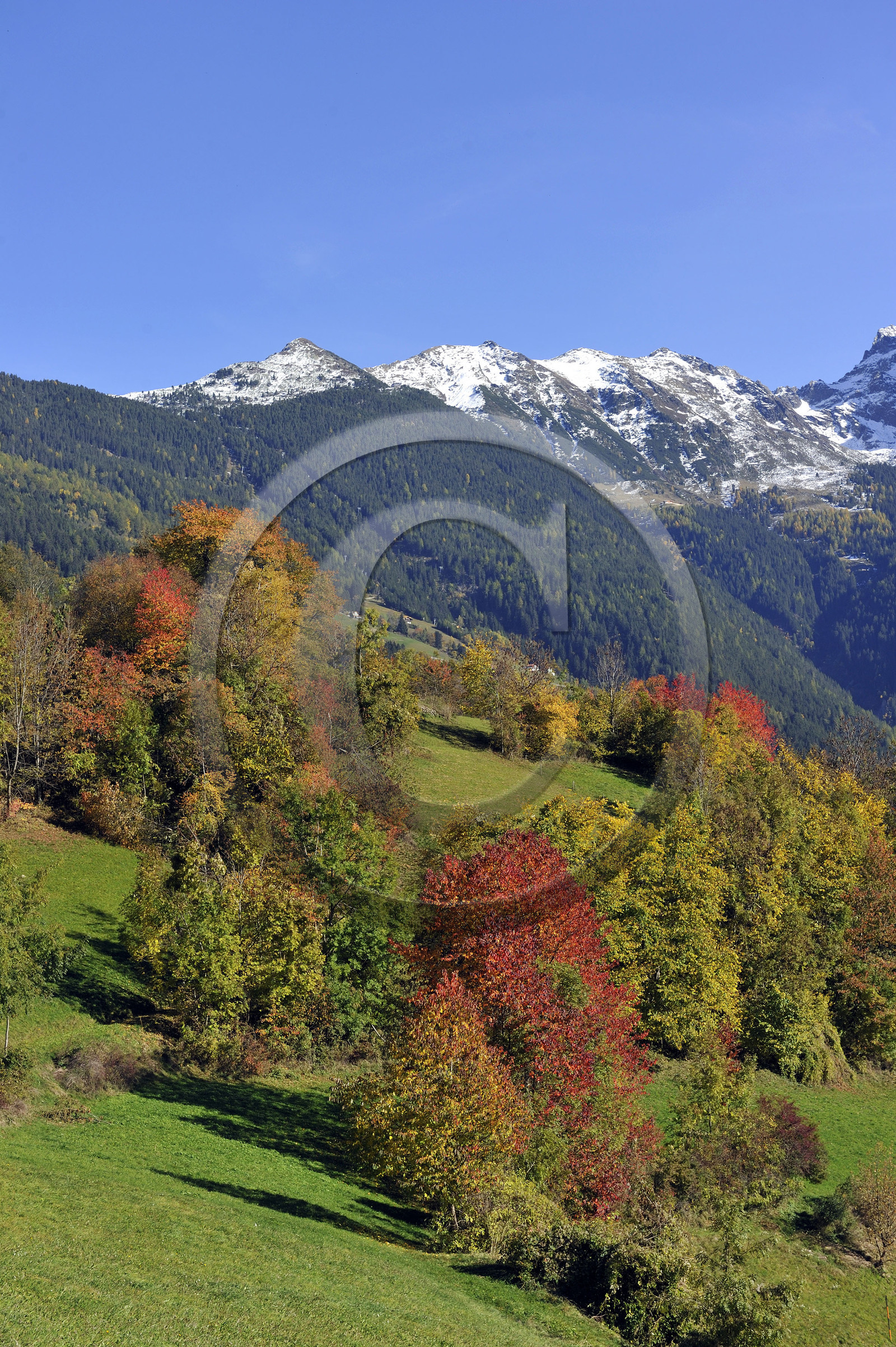 Autriche, Tyrol